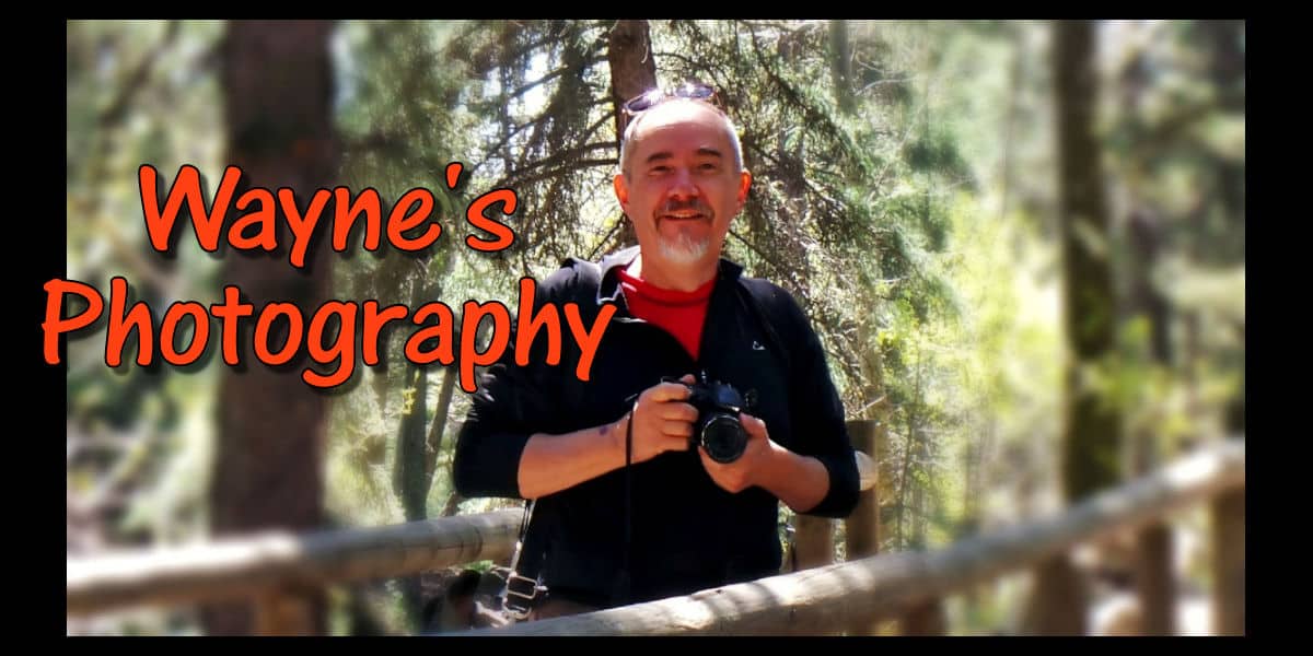 Wayne's Photography