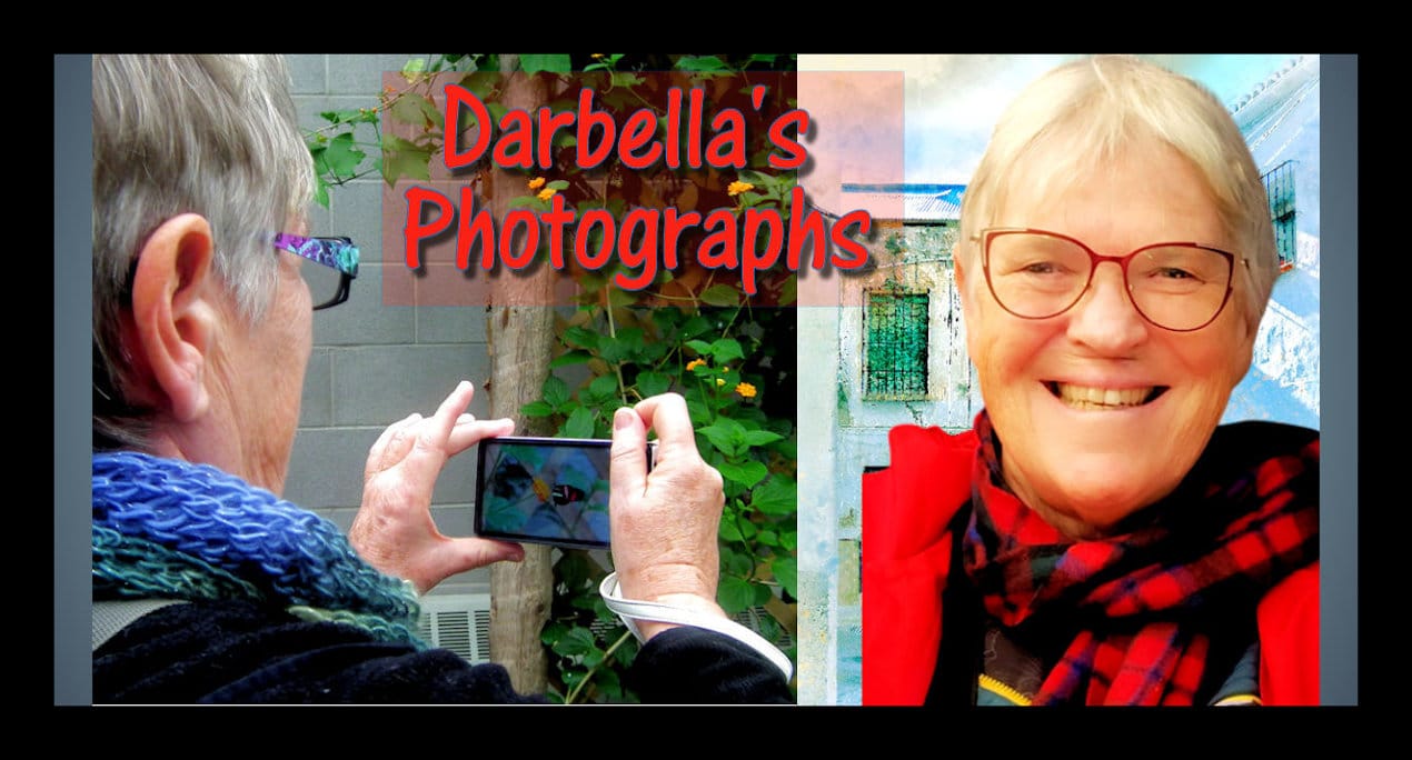 darbella's photography
