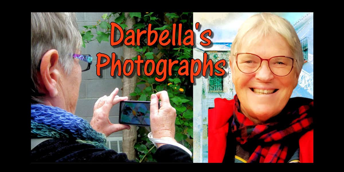 darbella's photography