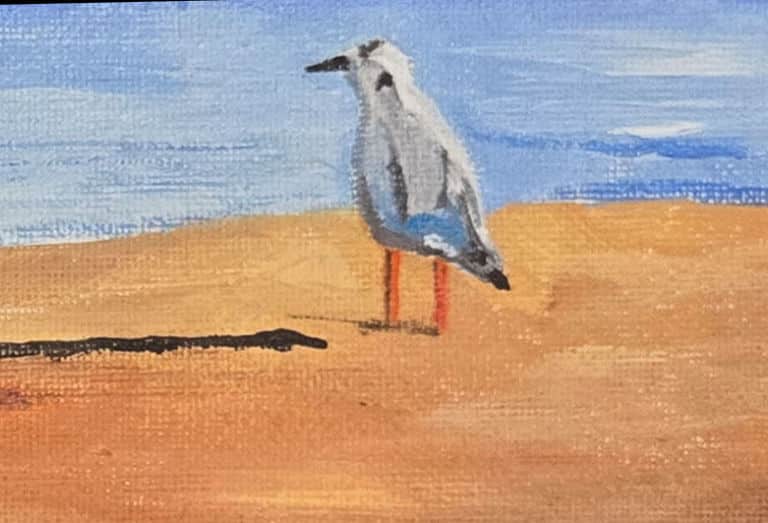 2026 01 Children Play as Bird Watches1